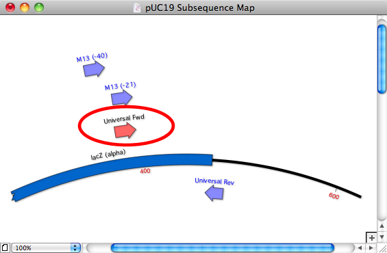 pUC19 Subsequence Map.png