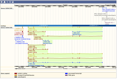 Ensembl genome browser 75 Homo sapiens Summary Gene PARL ENSG00000175193