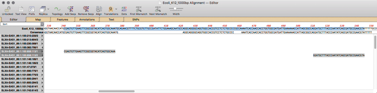 Ecoli K12 1000bp Alignment Editor