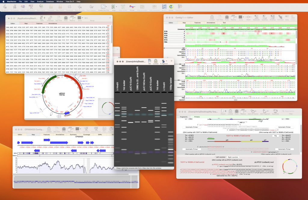 A desktop showing various windows of MacVector running on macOS Ventura