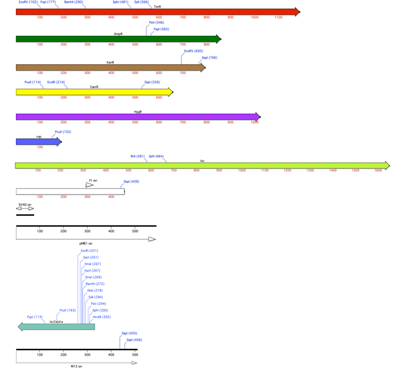 SampleFragments(shrunken) SampleFragments(shrunken)