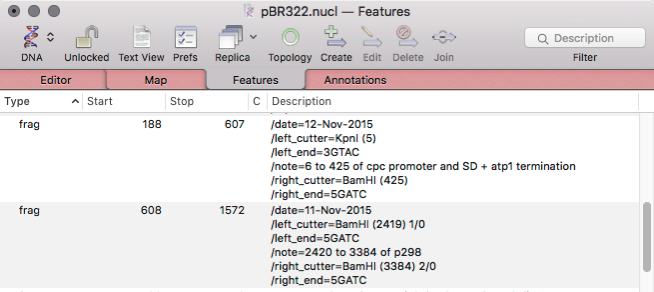 pBR322_nucl_―_Features.png PBR322 nucl Features