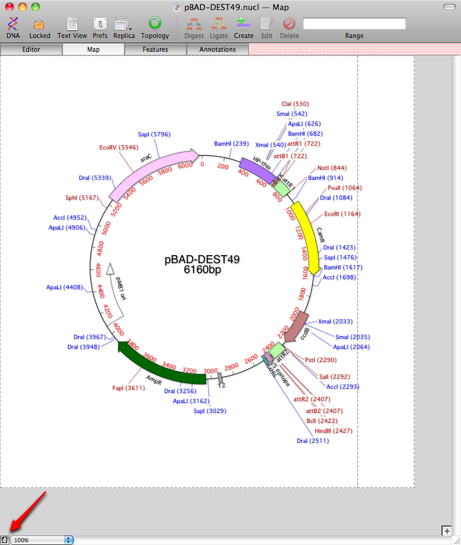 Mac 5 Line Raster 101 things you (maybe) didn’t know about MacVector: #5 – Printing ...