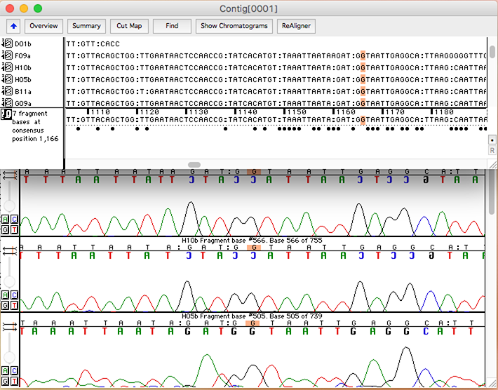 macvector chromatogram trim