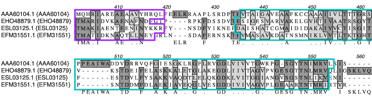 alignment in macvector