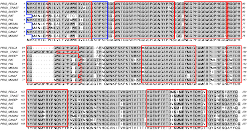 macvector transloation