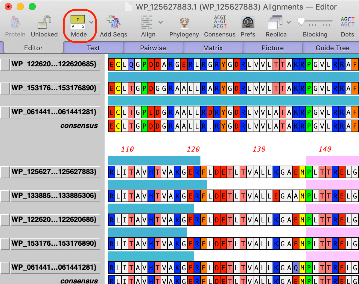 add new sequence macvector