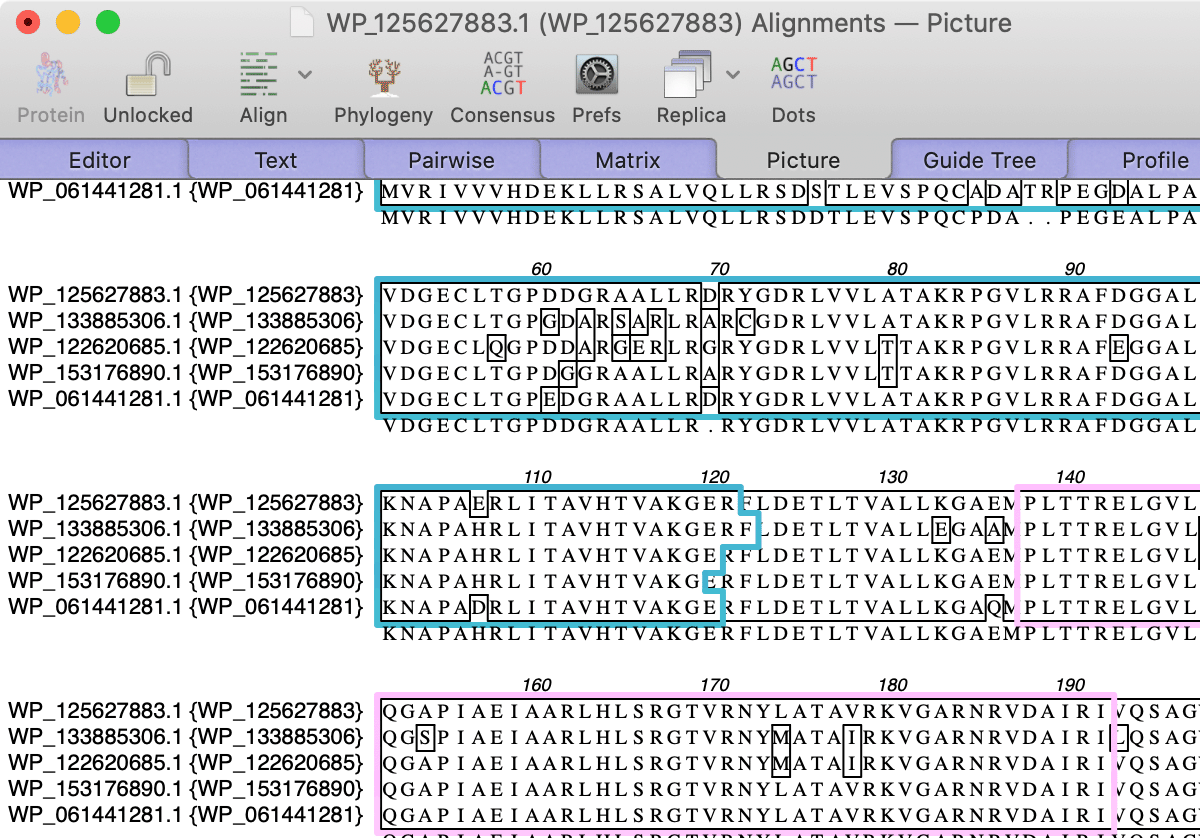 add new sequence macvector