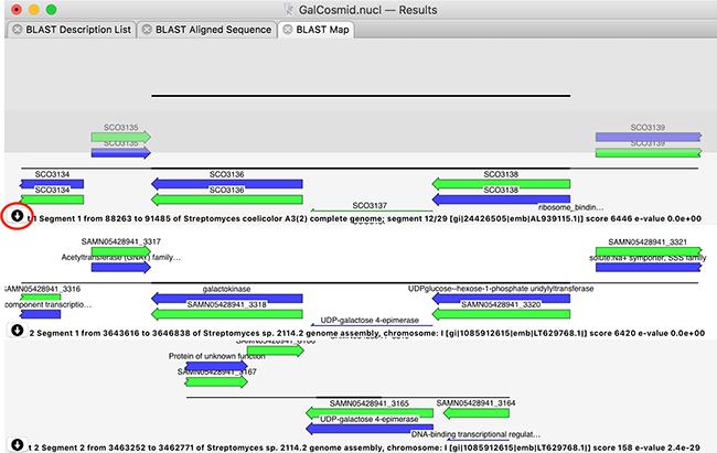 macvector mutagenesis