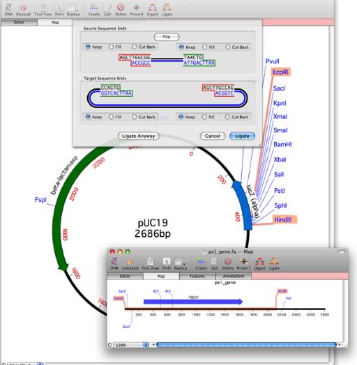 hjow to use align to reference in macvector