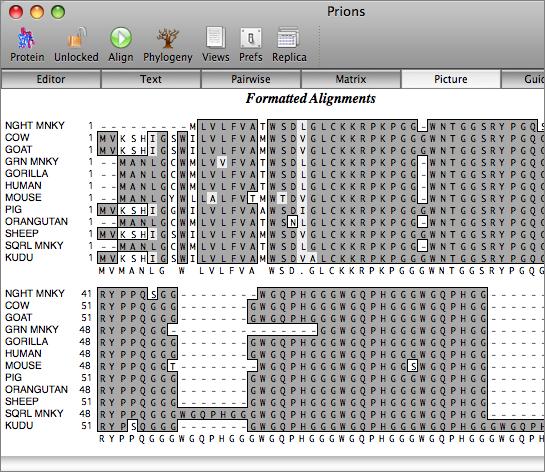 Protein Sequence Alignment Software Mac