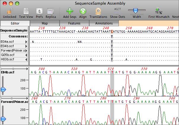 hjow to use align to reference in macvector