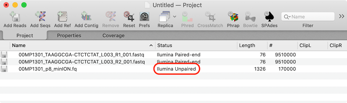 SPAdes Assembly Project