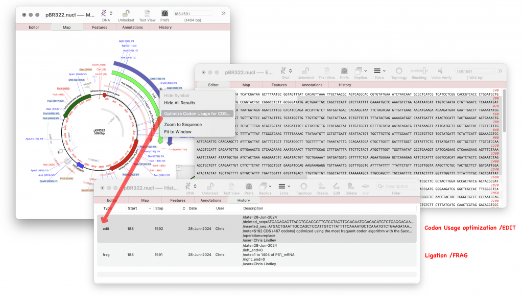 A ligation and a Codon Usage Optimization operation in MacVector 18.7's new History Tab