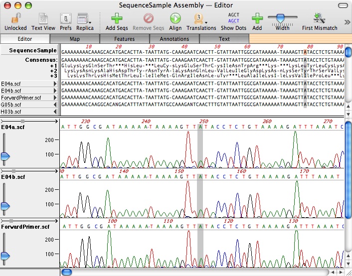 The Align to Reference Editor window