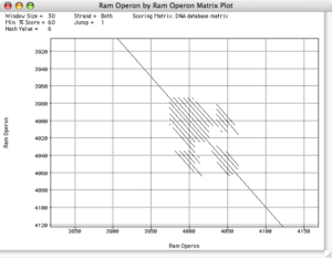 Repetitive sequence elements identified using a dot plot