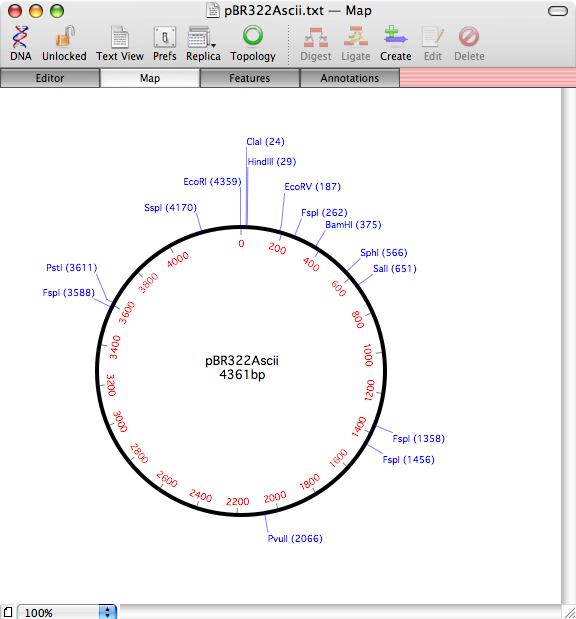 pBR322Annotated