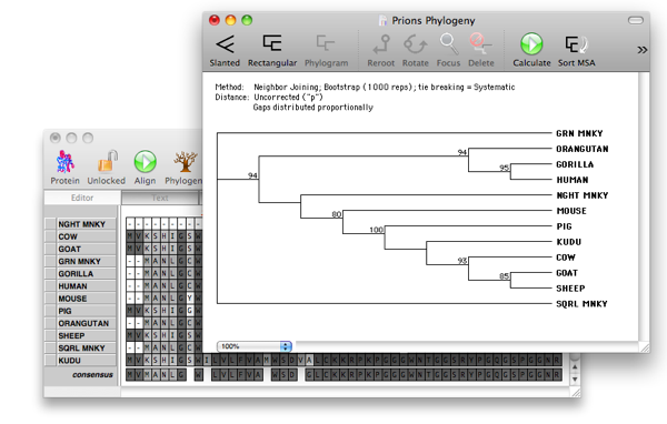 MSA_Tree.png MSA_Tree.png