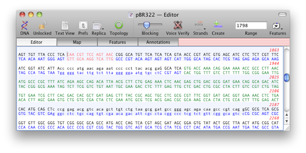 MV12 Transformations