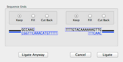 Fig6 LigationDialogue