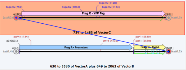 Fig7 CloningClipboard