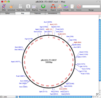 pBLOCK-iT3-DEST.nucl ― Map.png