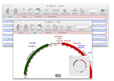 PBR322 Map and pBR322 Editor 2