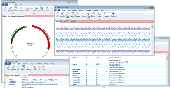 PBr322 Multiple WIndows