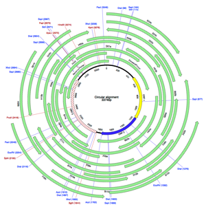 CircularSequenceSample Alignment axml Map
