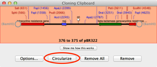 CloningCLipboard.png CloningCLipboard