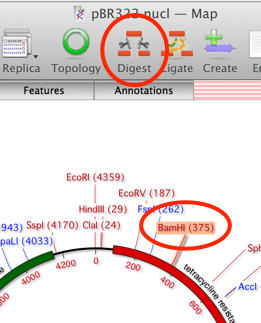 DigestOneSite.png DigestOneSite