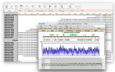L paracasei genomic scaffold Contig 1 Map and L paracasei genomic scaffold Contig 1 Editor