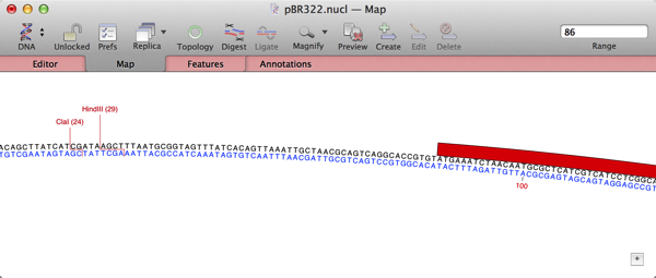ZoomedToResidueLevel