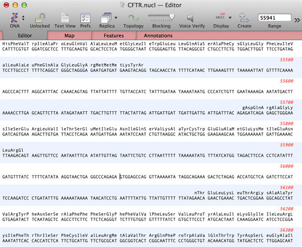 CFTR SegmentedCDSTranslations