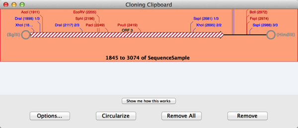Cloning Clipboard