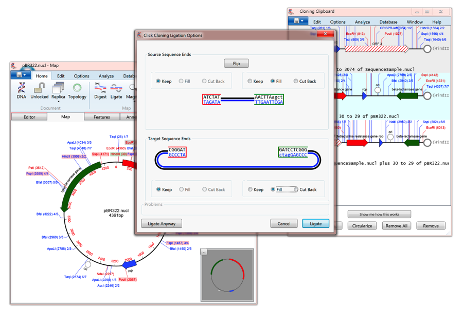 MV4WIN Ligation Dialogue.png MV4WIN Ligation Dialogue
