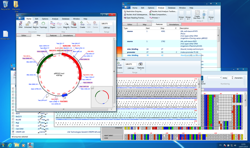 MV4WIN_Desktop.png MV4WIN Desktop