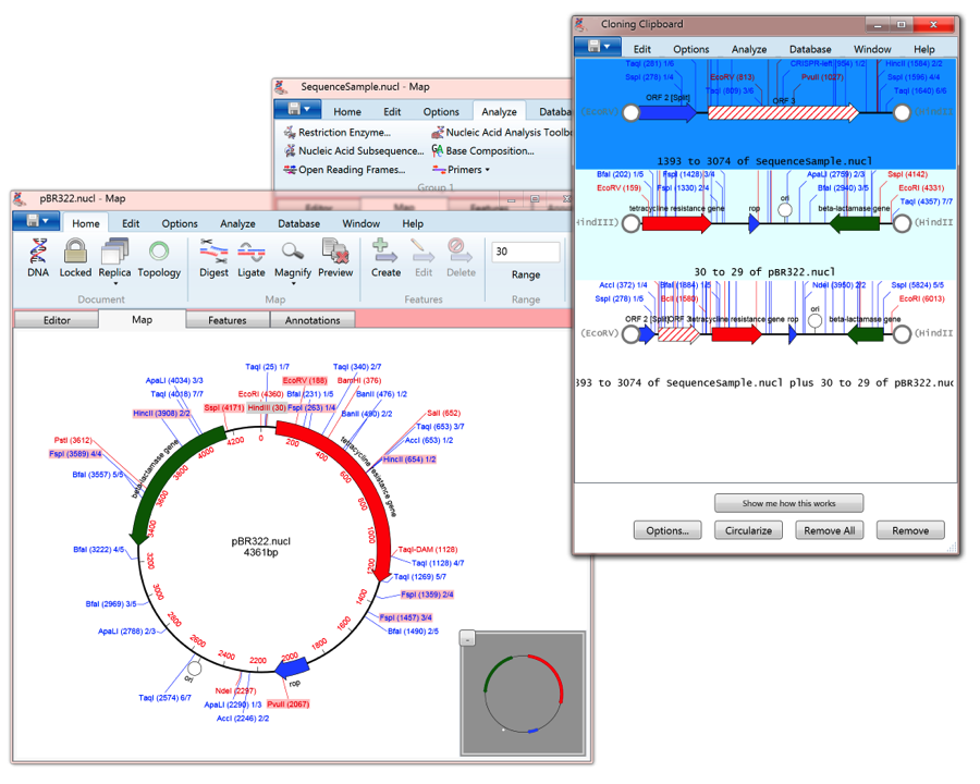 MV4WIN_cloning Clipboard.png MV4WIN cloning Clipboard