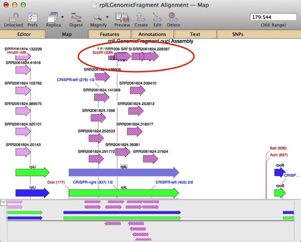 Overlapping Features
