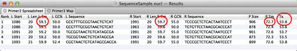 Primer3TableResults