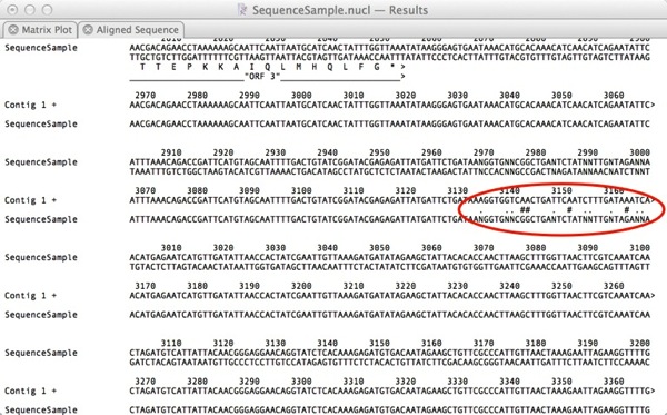 ModifiedAlignmentChars