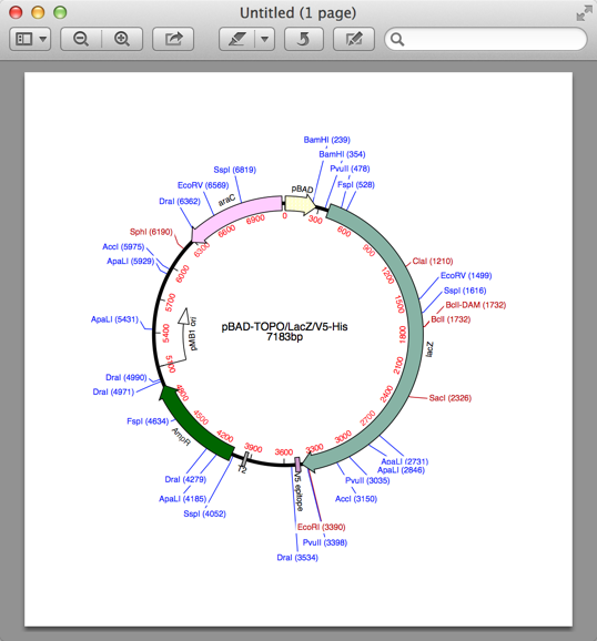 NewImage.png NewImage