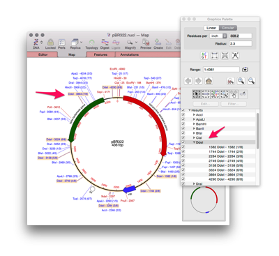 NewImage.png NewImage