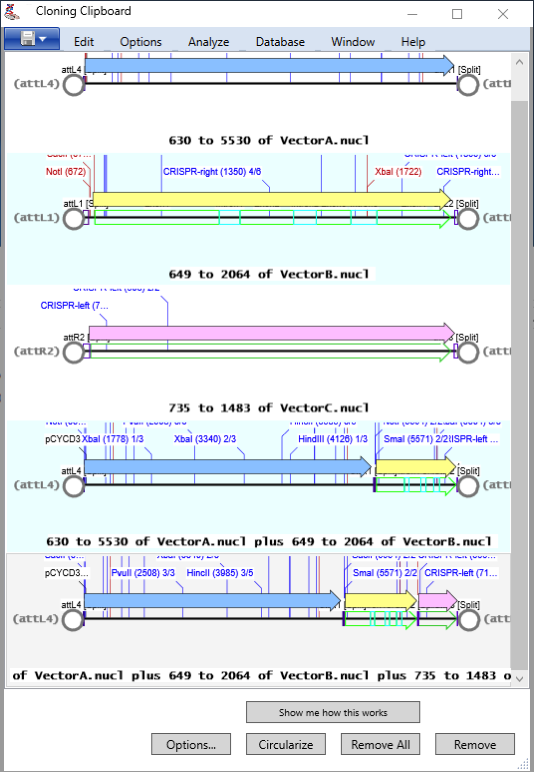 CloningClipboard2.png CloningClipboard2