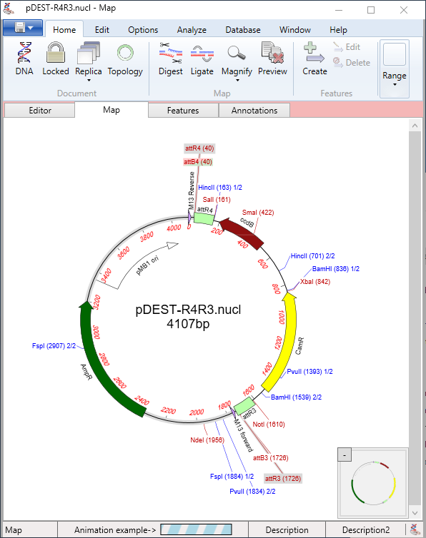 pDESTR3R4.png PDESTR3R4