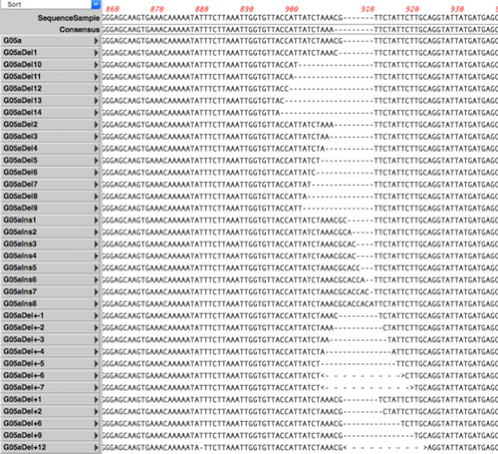 NewImage.png NewImage