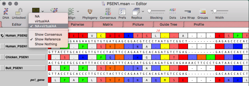 ProteinAlignment.png ProteinAlignment