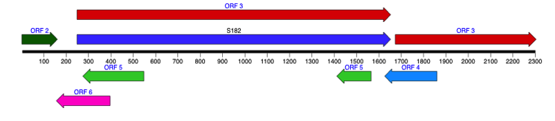 NewImage.png NewImage