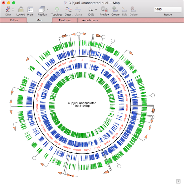 Use Database | Auto-Annotate Sequence to annotate prokaryotic genomes