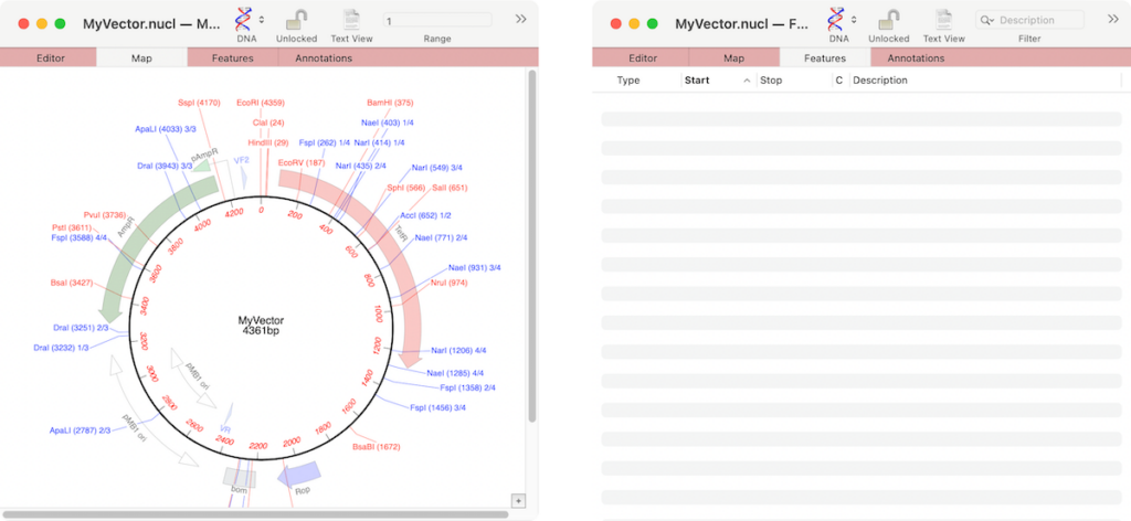 Unknown.png Two windows showing a graphical representation of a plasmid